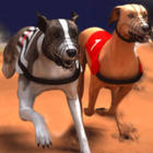 Greyhound Racing img