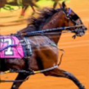 Harness Racing img