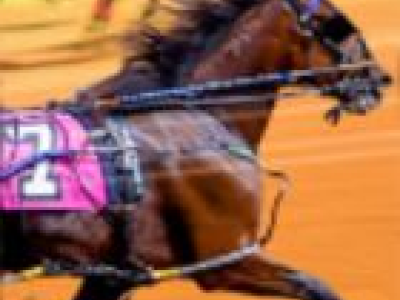 Harness Racing background