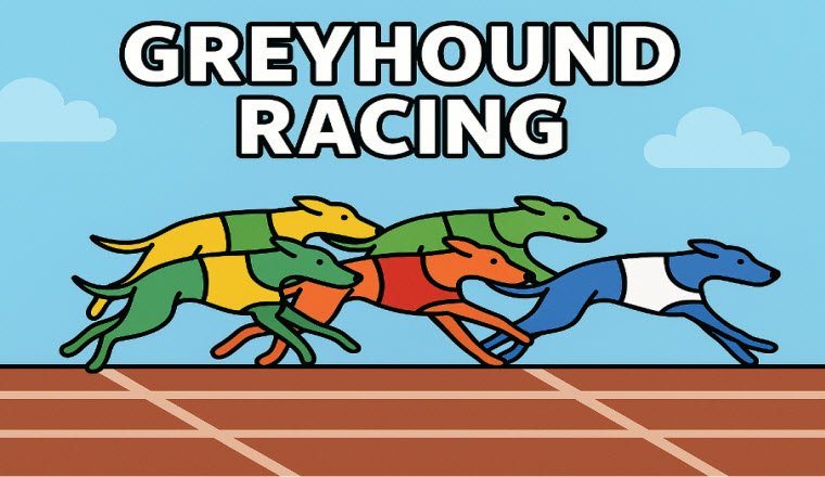 greyhound racing screenshot